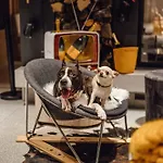 Hotel Bohinj فندق 4*