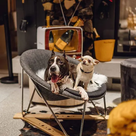 Hotel Bohinj Hotel 4*