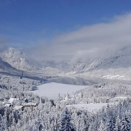 Hotel Bohinj