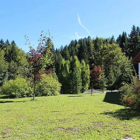 Otel Hotel Bohinj Bohinj