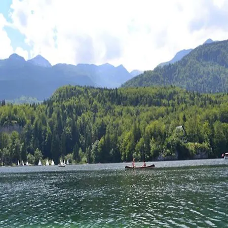 Otel Hotel Bohinj Bohinj