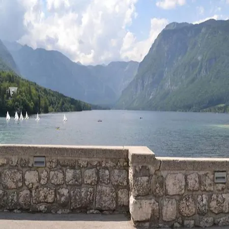 Hotel Hotel Bohinj