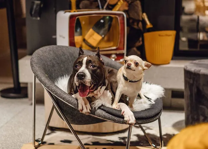 Hotel Bohinj Hotel 4*