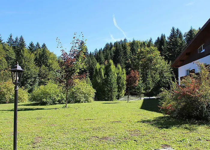 Hotel Hotel Bohinj Bohinj