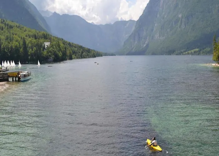 호텔 보히니 호텔 4*